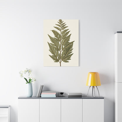Classic Fern Illustration Wall Art & Canvas Prints