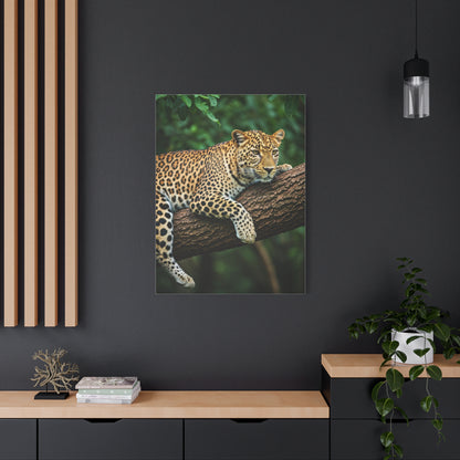 Leopard Resting in Jungle Canopy Wall Art & Canvas Prints