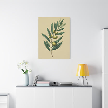 Olive Branch Study Wall Art & Canvas Prints