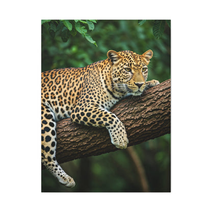 Leopard Resting in Jungle Canopy Wall Art & Canvas Prints