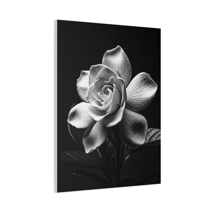 Romantic Garden Rose Monochrome Wall Art & Canvas Prints