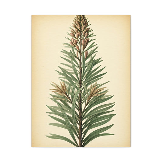 Vintage Fern Study Wall Art & Canvas Prints