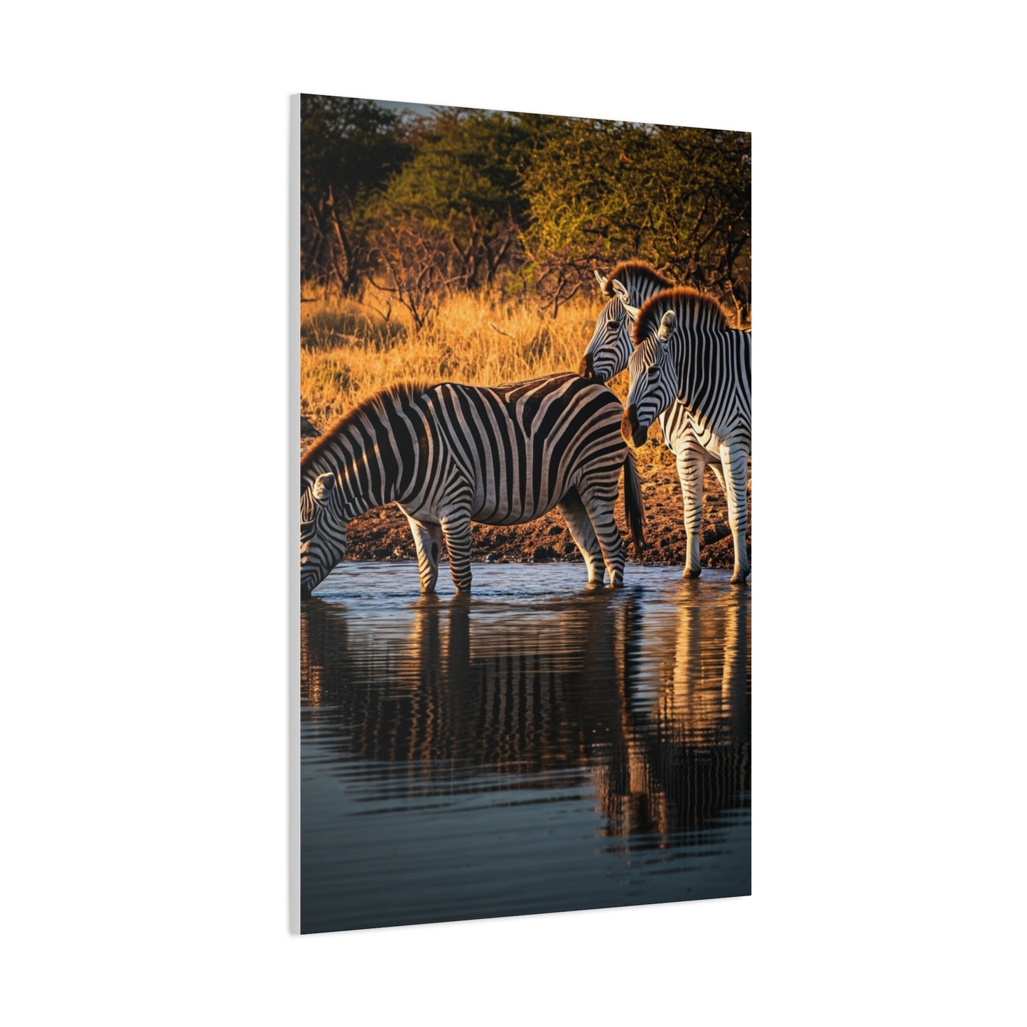 Zebra Pair at the Water’s Edge Wall Art & Canvas Prints