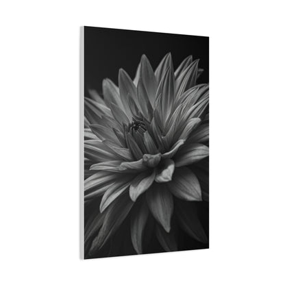 Monochrome Layered Dahlia Bloom Wall Art & Canvas Prints