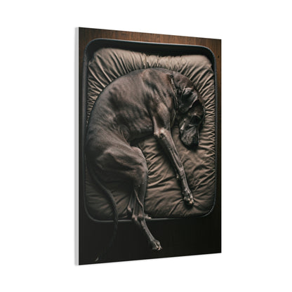 Peaceful Slumber Canine Wall Art & Canvas Print