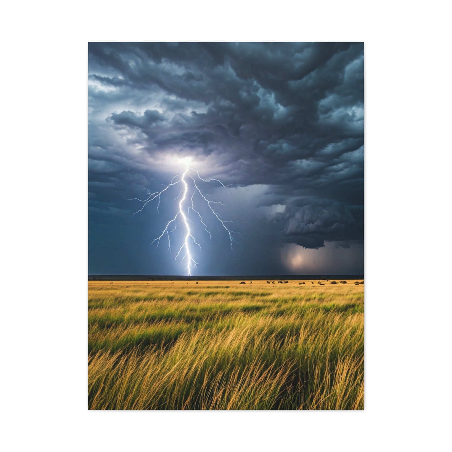 Lightning Storm Over Golden Plains Wall Art & Canvas Prints