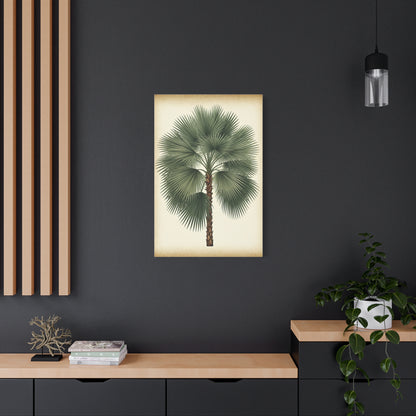 Fan Palm Leaf Tree Illustration Wall Art & Canvas Prints