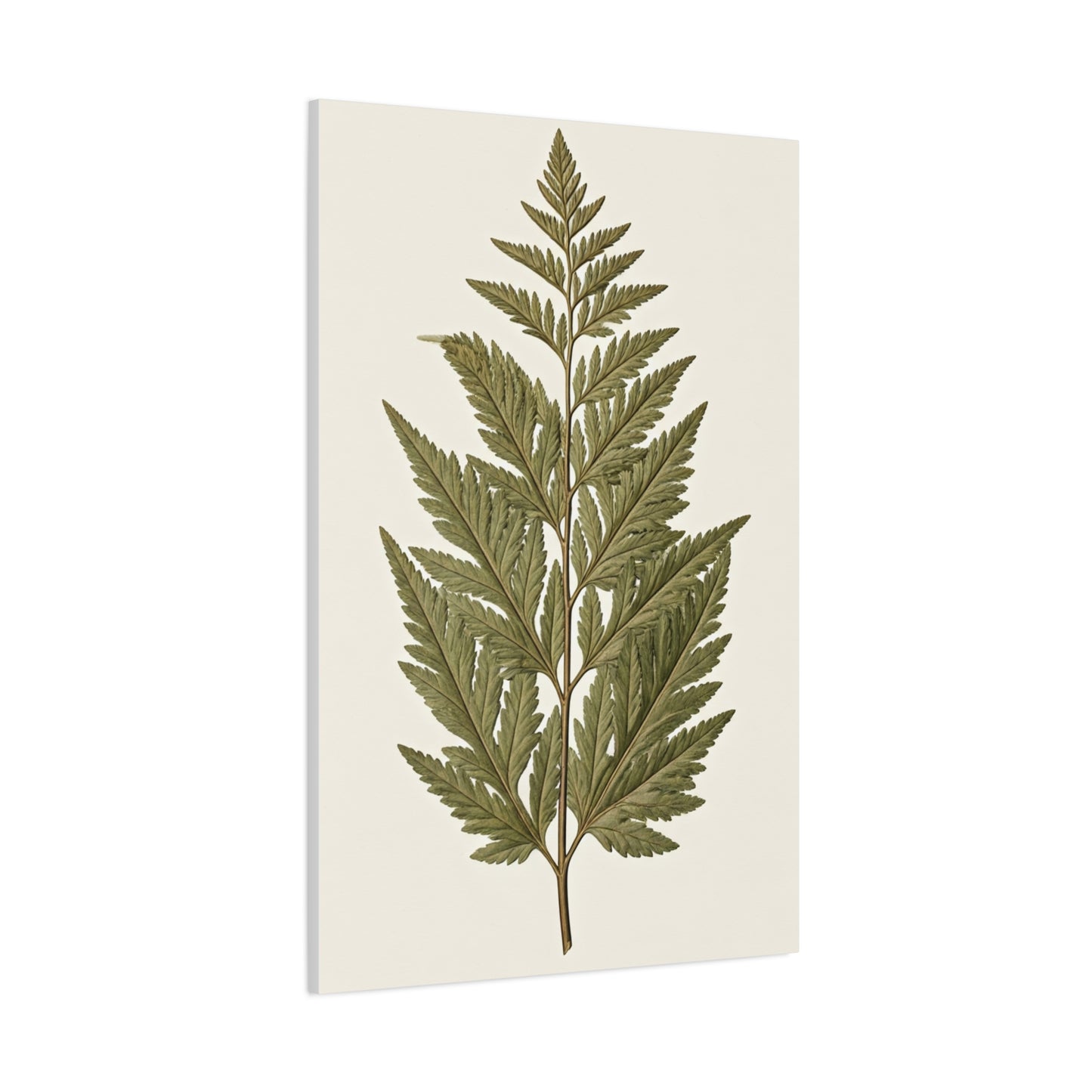 Classic Fern Illustration Wall Art & Canvas Prints
