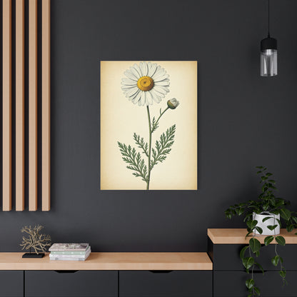 Wild Daisy Illustration Wall Art & Canvas Prints