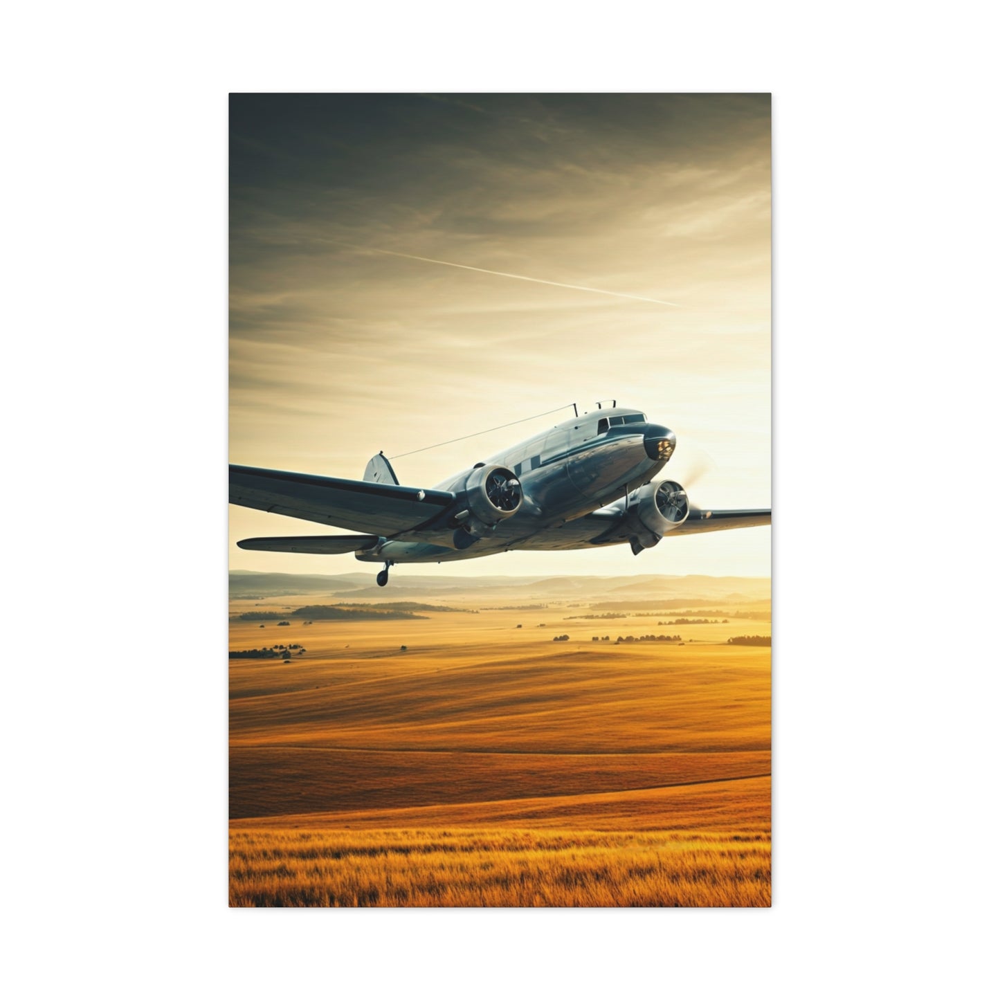 Golden Age Flight Over Desert Wall Art & Canvas Prints