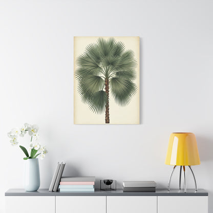 Fan Palm Leaf Tree Illustration Wall Art & Canvas Prints