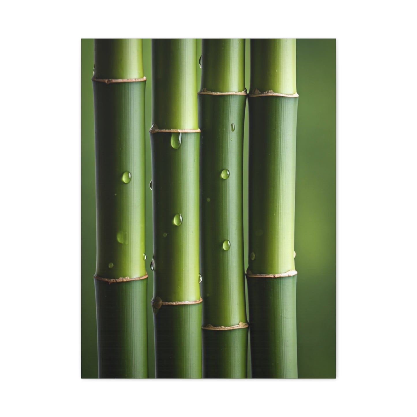 Green Bamboo Stalks Natural Zen Wall Art & Canvas Prints