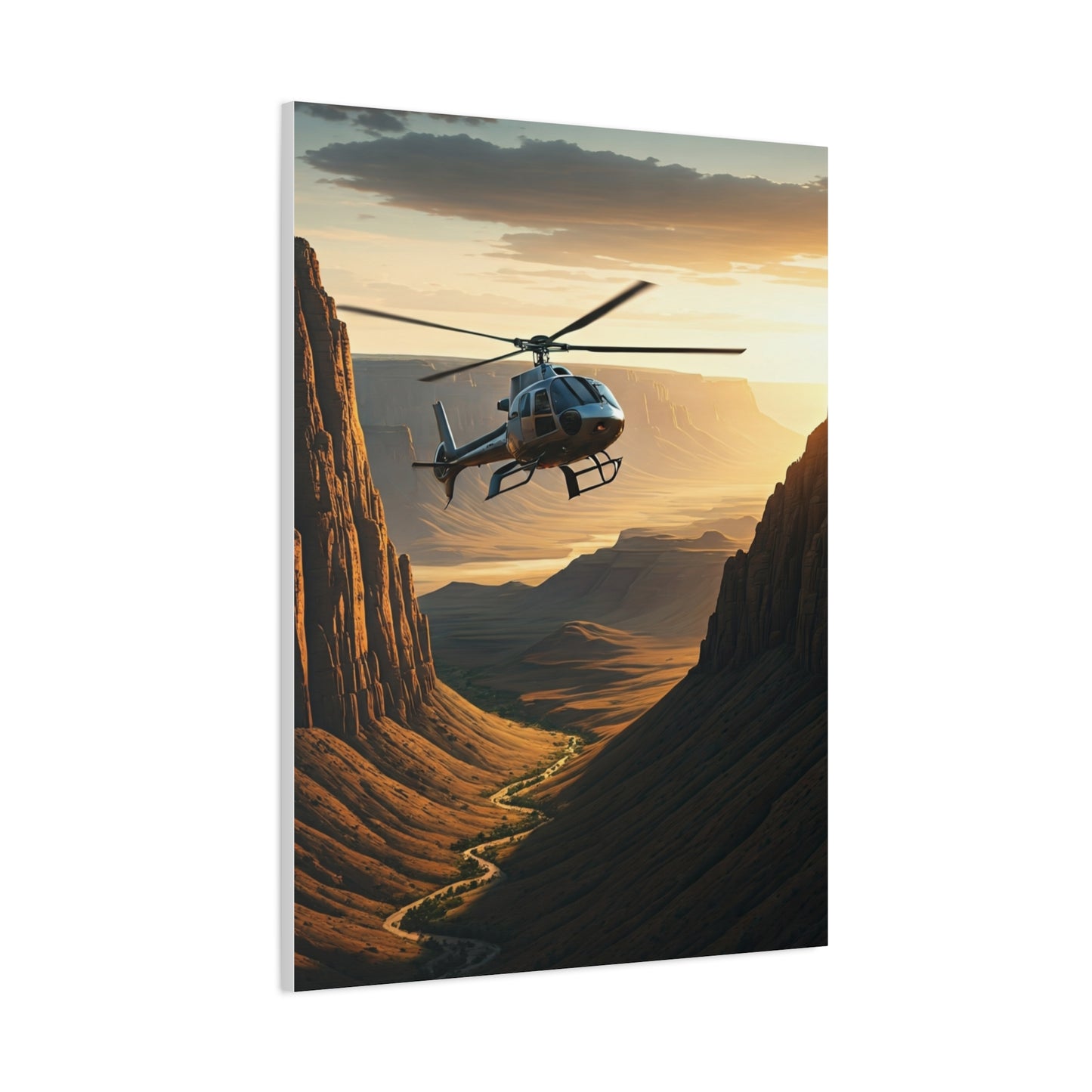 Helicopter Canyon Expedition Wall Art & Canvas Prints