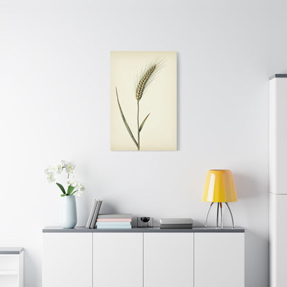 Golden Grain Stem Illustration Wall Art & Canvas Prints