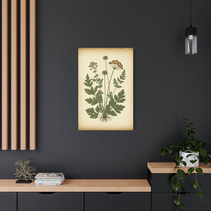Antique Herbal Arrangement Wall Art & Canvas Prints
