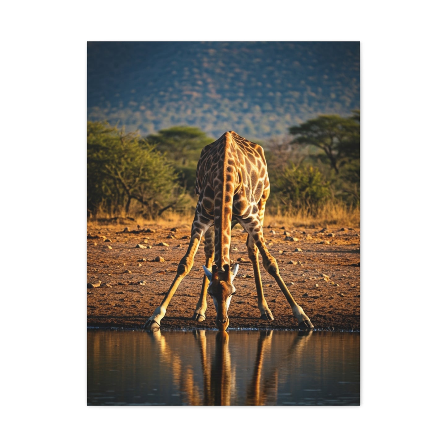 Giraffe Reflection Safari Serenity Wall Art & Canvas Prints