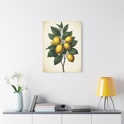 Lemon Branch Illustration Wall Art & Canvas Prints