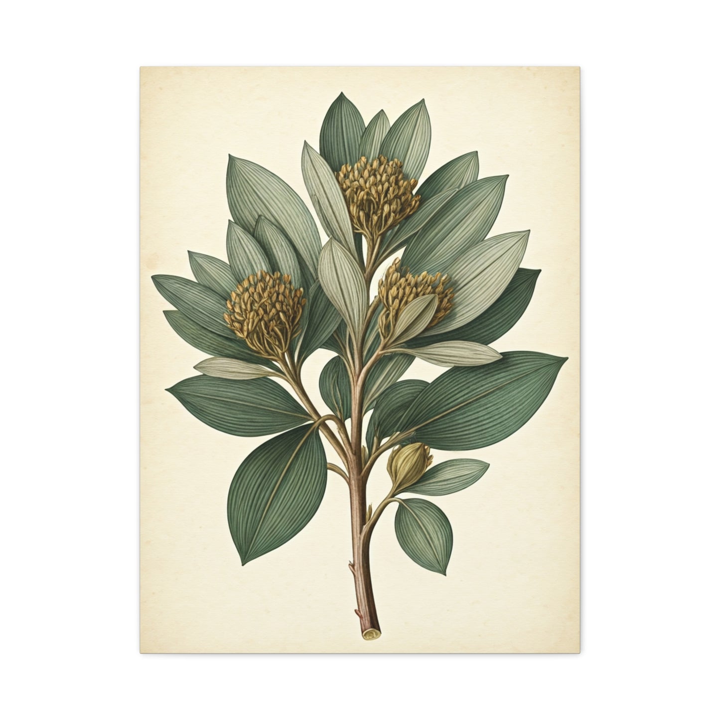 Floral Branch Illustration Wall Art & Canvas Prints