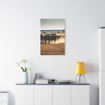 Wild Buffalo Herd in Dusty Savannah Wall Art & Canvas Prints