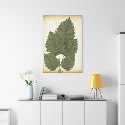 Vintage Leaf Study Illustration Wall Art & Canvas Prints