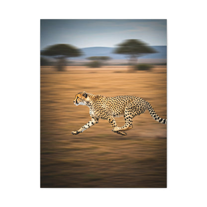 Cheetah Sprint Across the Desert Plains Wall Art & Canvas Prints
