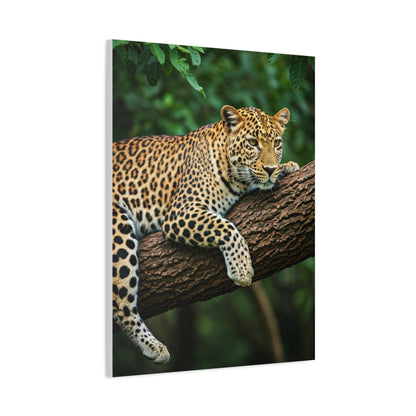 Leopard Resting in Jungle Canopy Wall Art & Canvas Prints