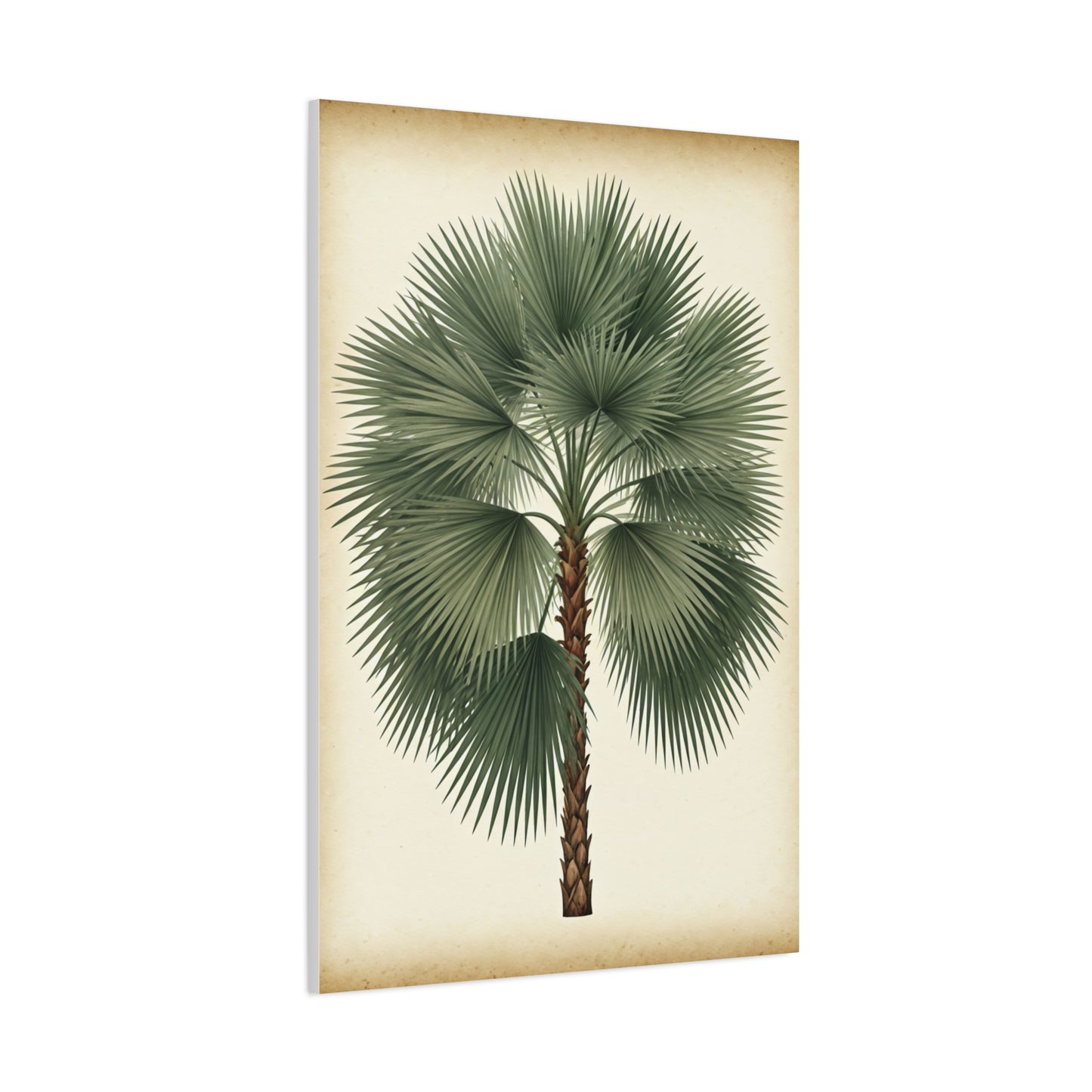 Fan Palm Leaf Tree Illustration Wall Art & Canvas Prints