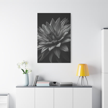 Monochrome Layered Dahlia Bloom Wall Art & Canvas Prints