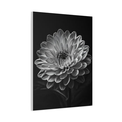 Full Bloom Dahlia Portrait Wall Art & Canvas Prints