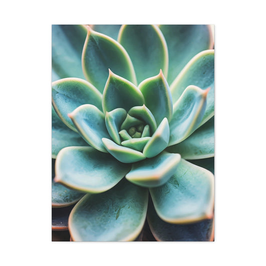 Sage Succulent Bloom Wall Art & Canvas Prints