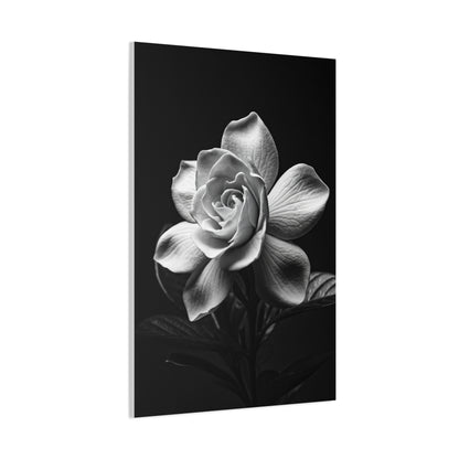 Romantic Garden Rose Monochrome Wall Art & Canvas Prints