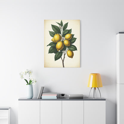 Lemon Branch Illustration Wall Art & Canvas Prints