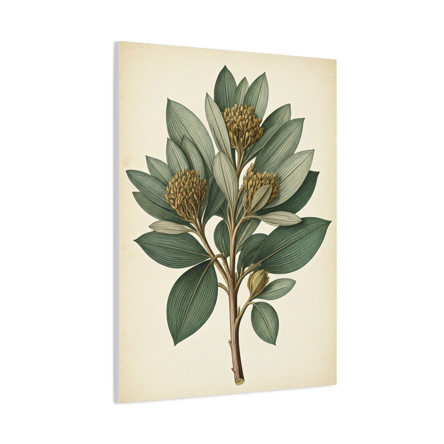 Floral Branch Illustration Wall Art & Canvas Prints