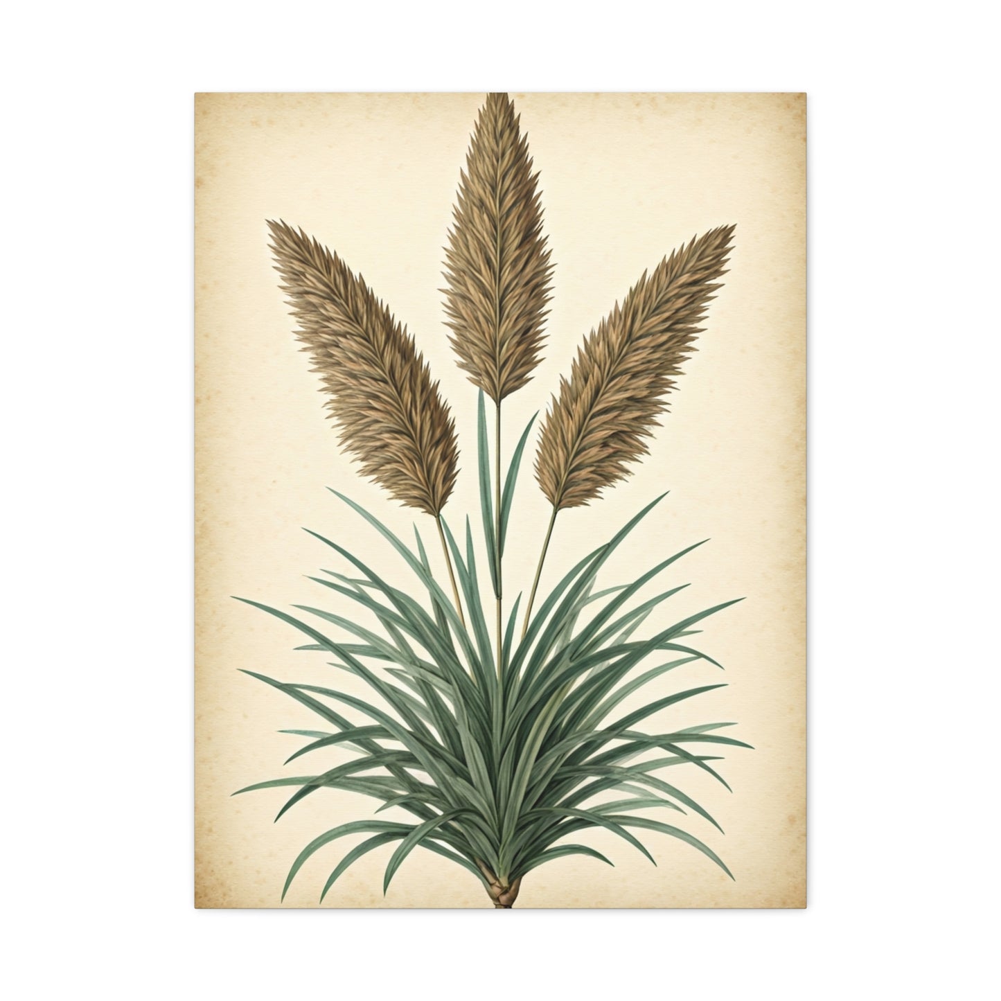Wild Grass and Seed Heads Illustration Wall Art & Canvas Prints