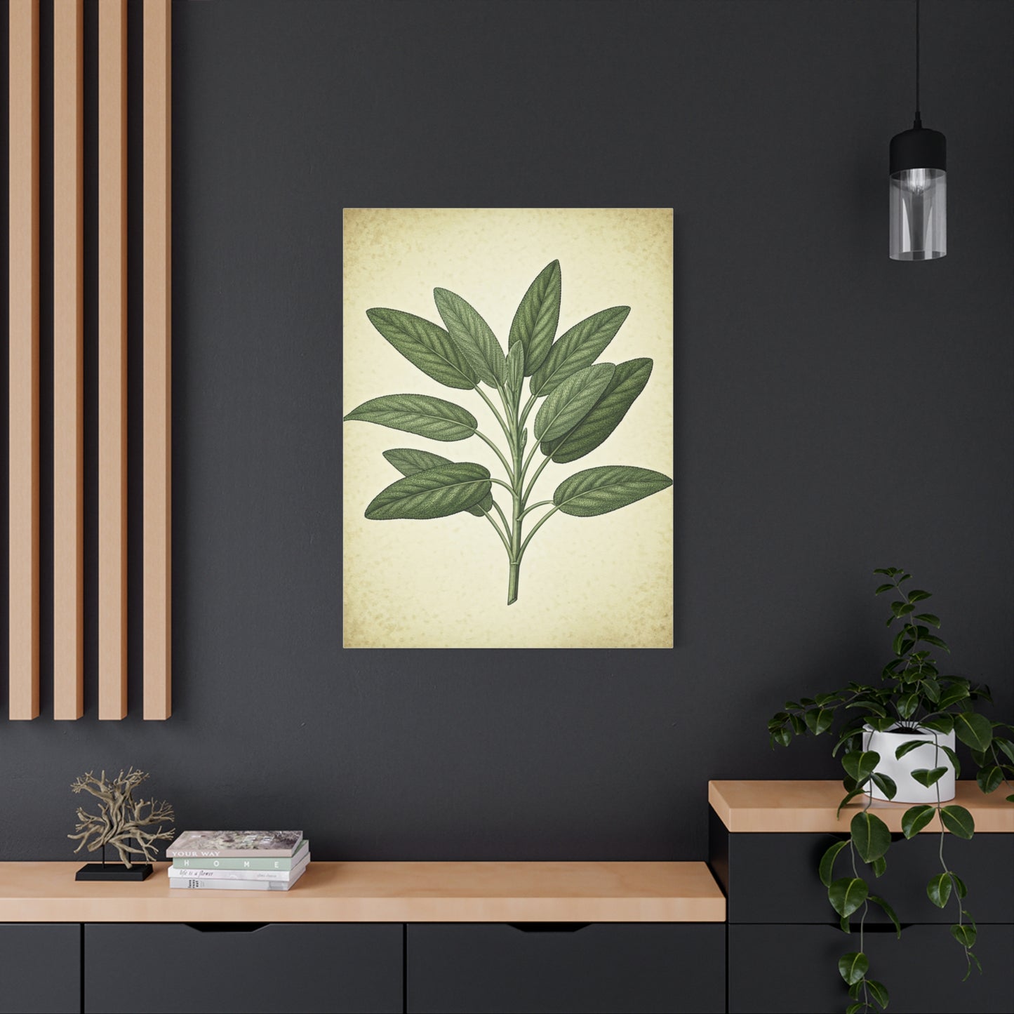Sage Leaf Medicinal Illustration Wall Art & Canvas Prints