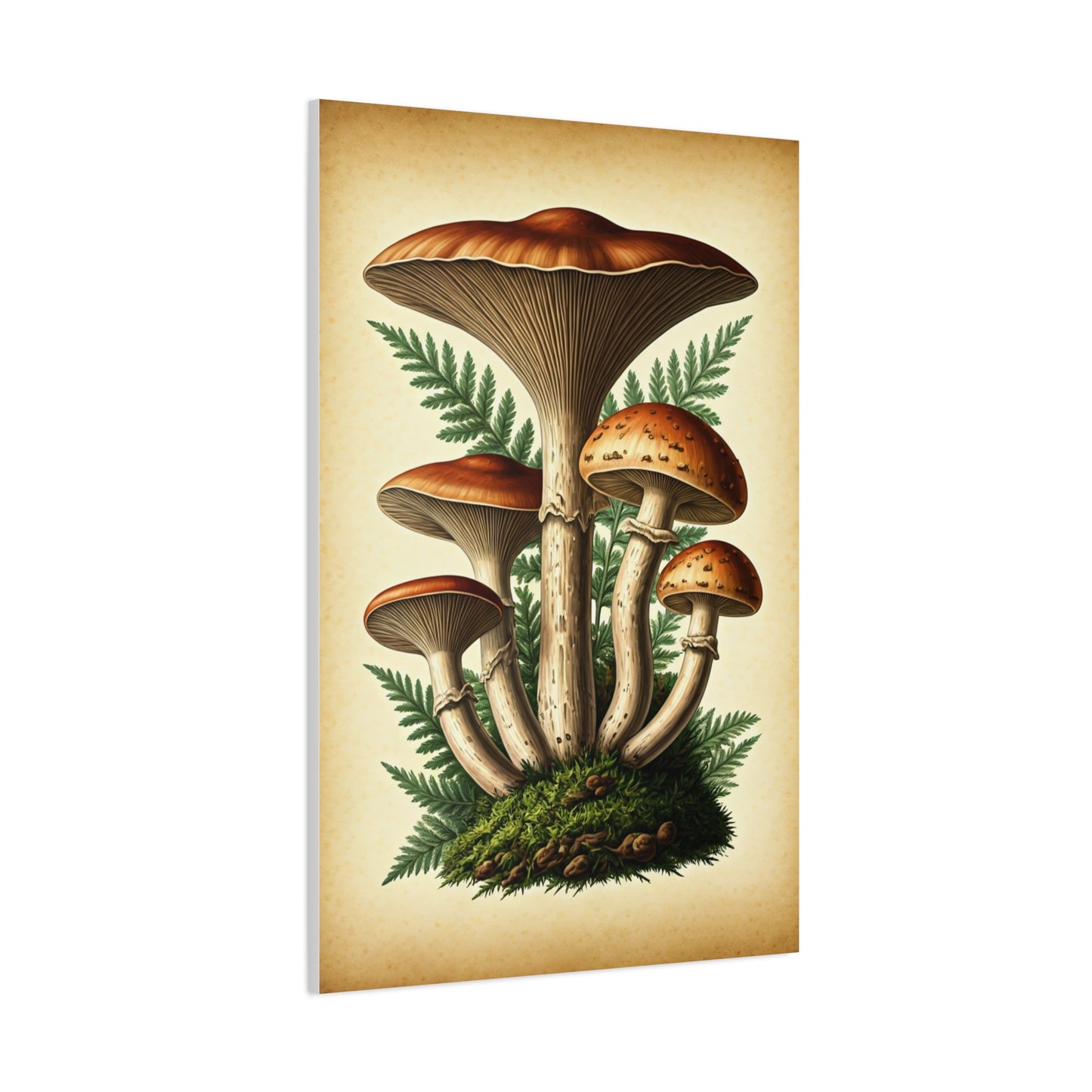 Mushroom Illustration Collection Wall Art & Canvas Prints