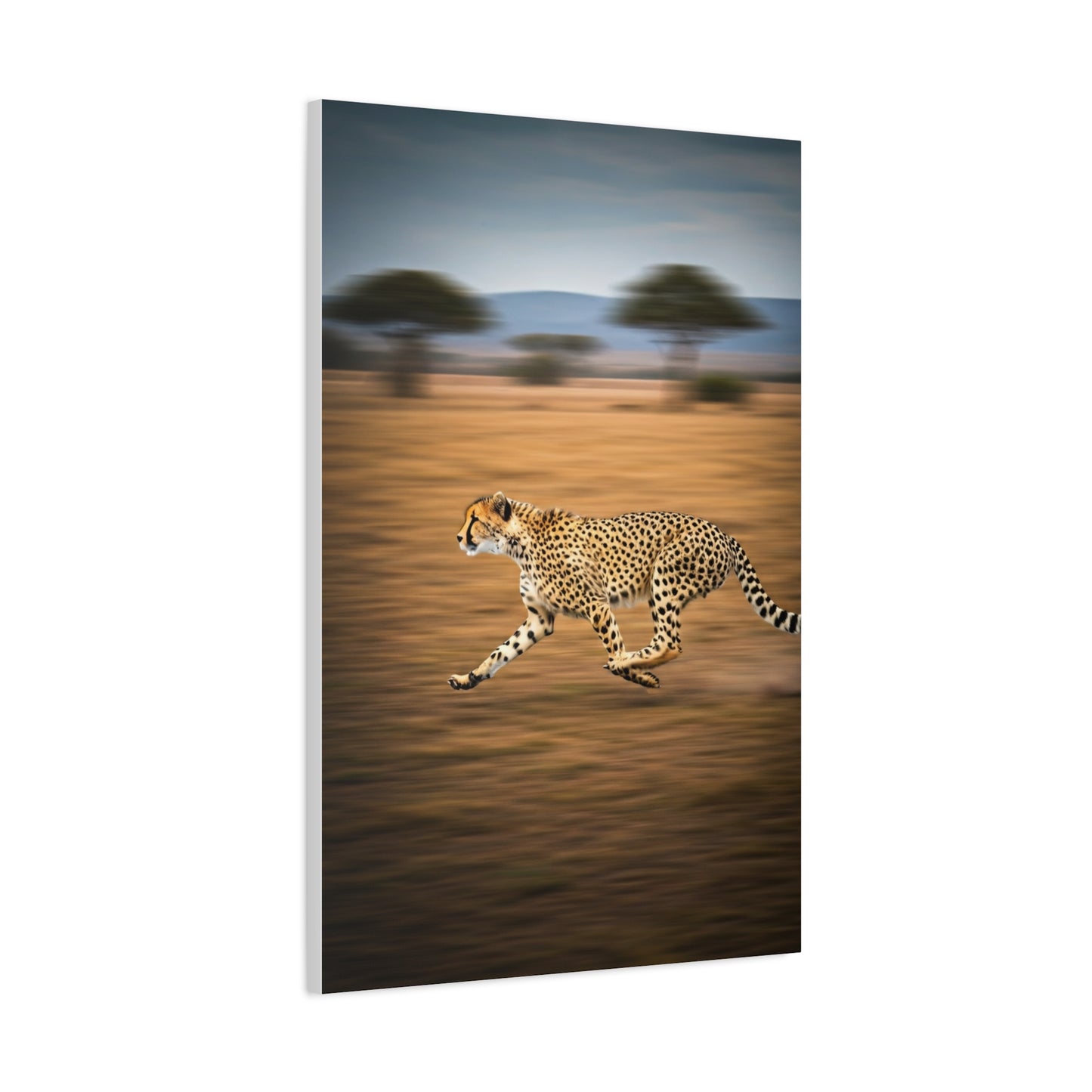 Cheetah Sprint Across the Desert Plains Wall Art & Canvas Prints