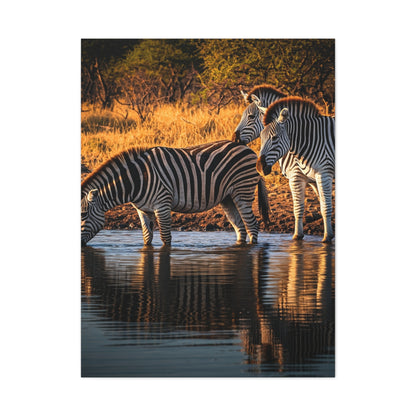 Zebra Pair at the Water’s Edge Wall Art & Canvas Prints