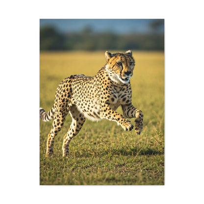 African Sunset Baobab Trail Wall Art & Canvas Prints