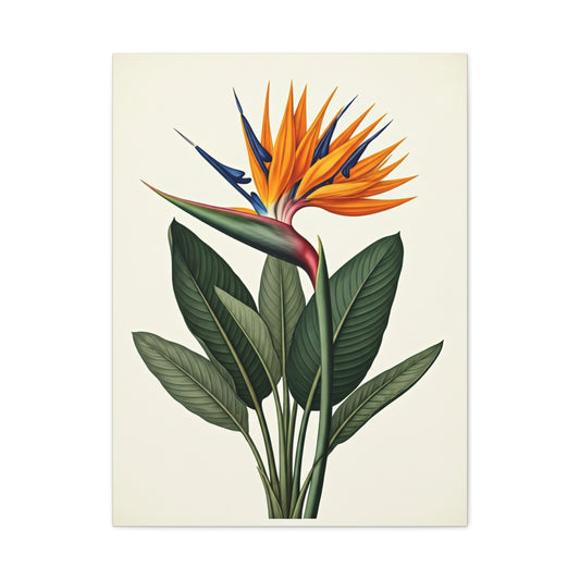 Tropical Bird of Paradise Illustration Wall Art & Canvas Prints