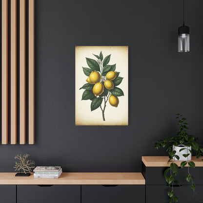 Lemon Branch Illustration Wall Art & Canvas Prints
