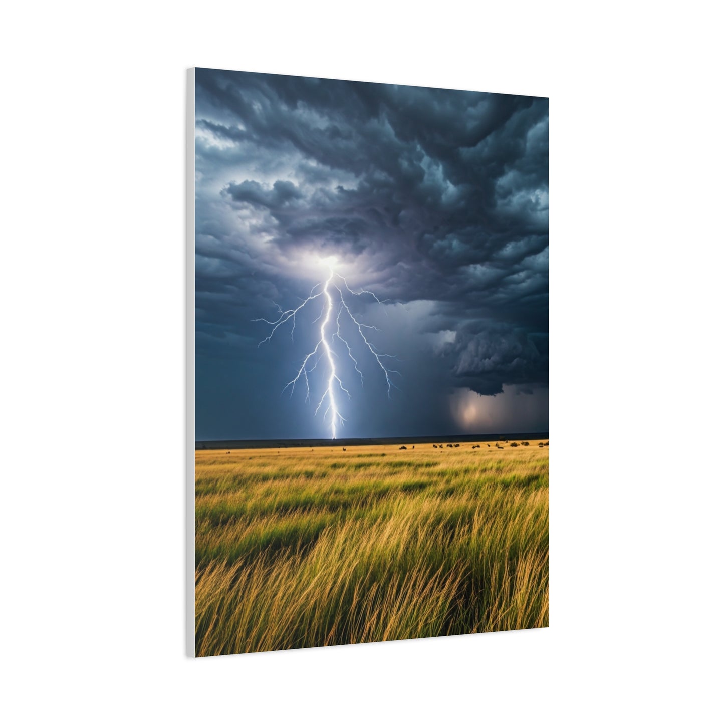 Lightning Storm Over Golden Plains Wall Art & Canvas Prints