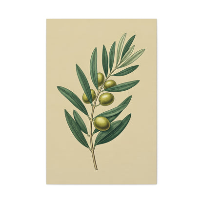 Olive Branch Study Wall Art & Canvas Prints
