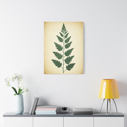 Vintage Fern Study Wall Art & Canvas Prints