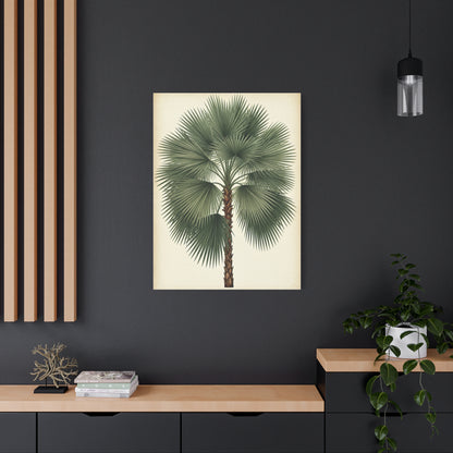Fan Palm Leaf Tree Illustration Wall Art & Canvas Prints