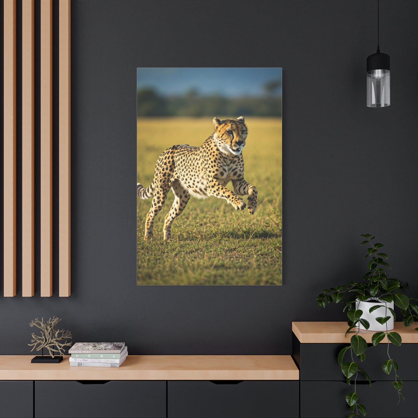 African Sunset Baobab Trail Wall Art & Canvas Prints