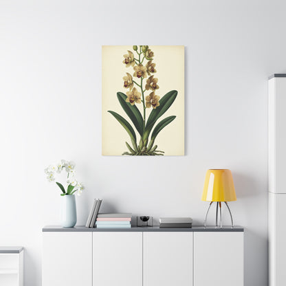 Vintage Wildflower Study Wall Art & Canvas Prints