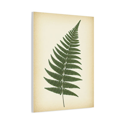 Fern Frond Illustration Wall Art & Canvas Prints