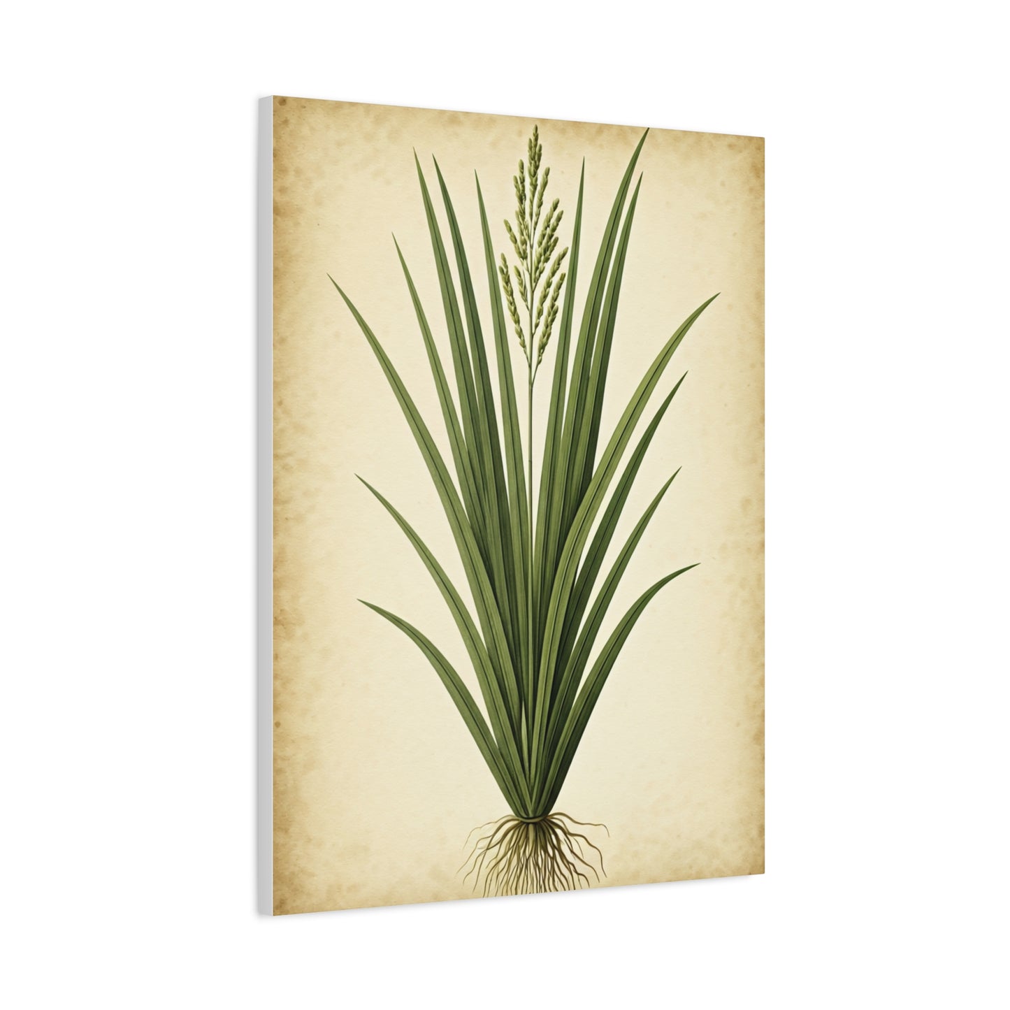 Wild Grass Illustration Wall Art & Canvas Prints
