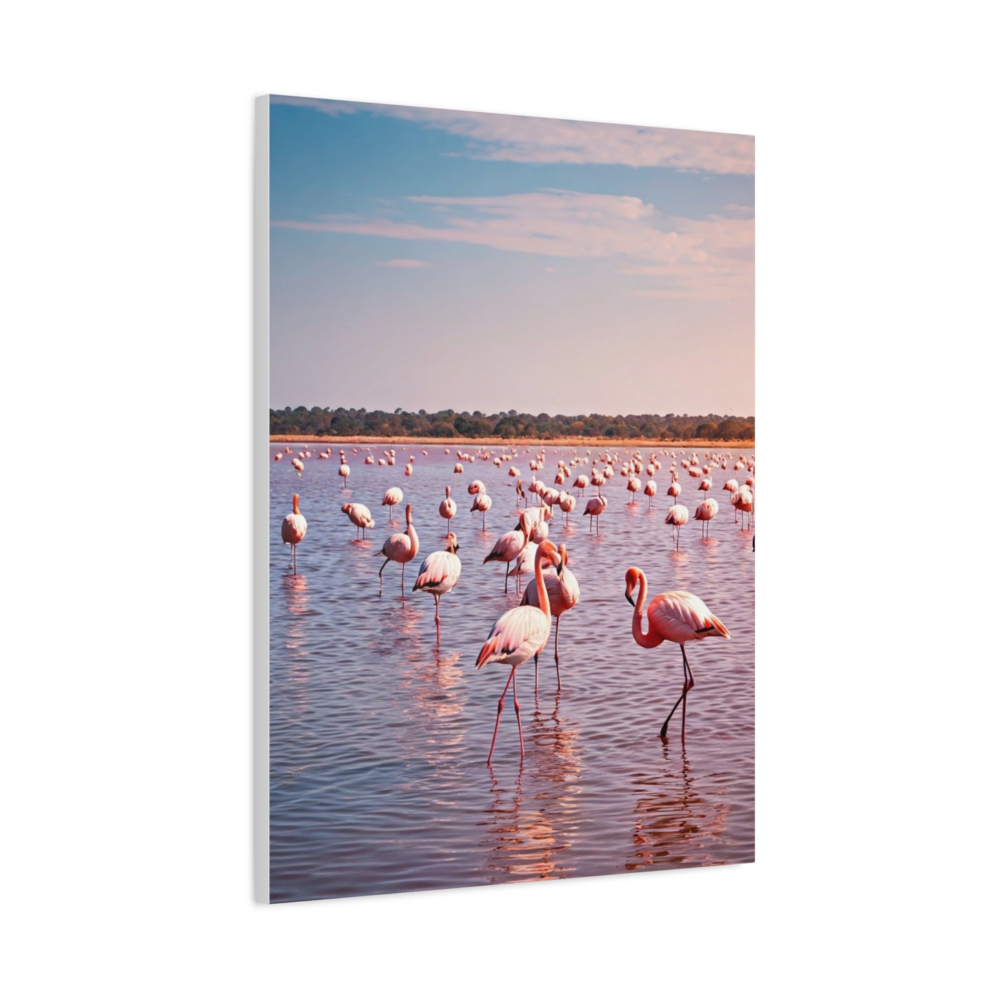 Crocodile Sunset Waterscape Wall Art & Canvas Prints